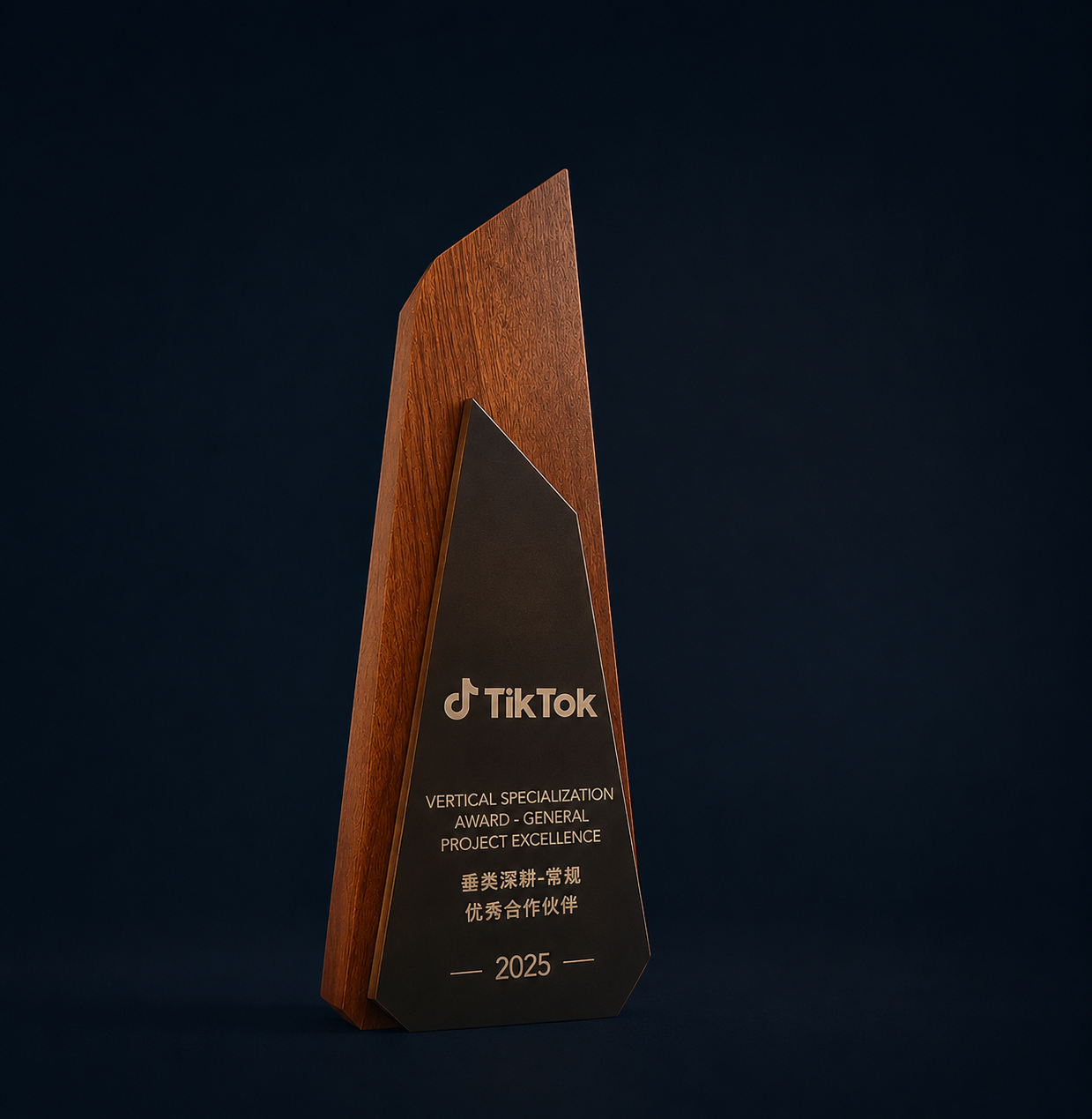 ONECIRCLE TikTok and platform partner awards